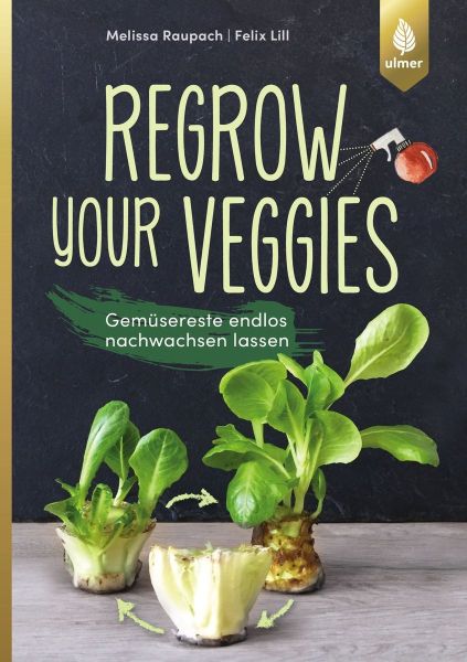 Regrow Your Veggies