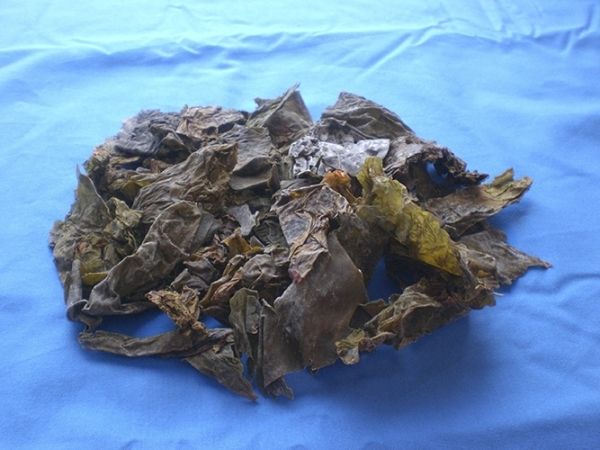 Bio-Kombu zart, 200g