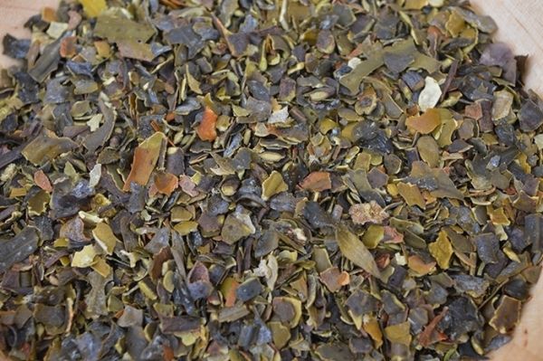 Bio-Blasentang (Bladderwrack), 200g