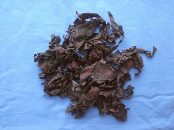 Bio-Dulse groß, 2000g