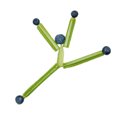 beerensellerie2_scale