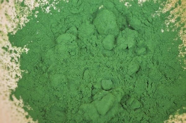 Nachfüllpack Chlorella-Pulver, 1000g